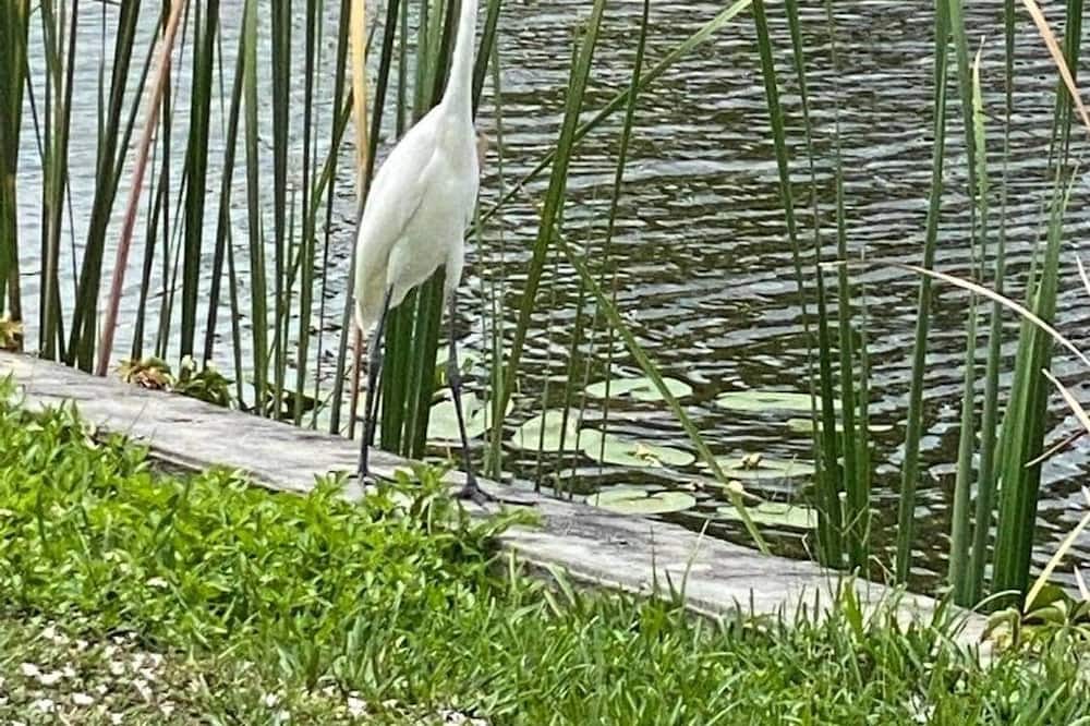 Photo of Outdoor in Okeechobee
