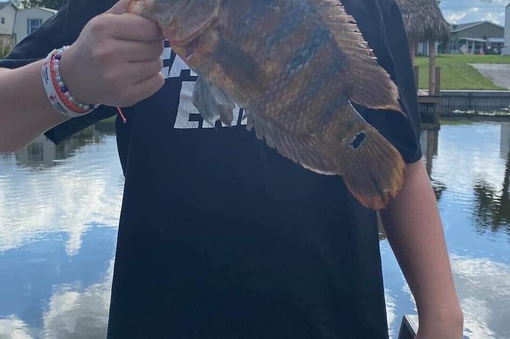 Photo of Outdoor in Okeechobee