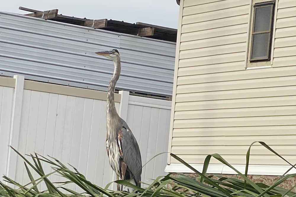 Photo of Outdoor in Okeechobee