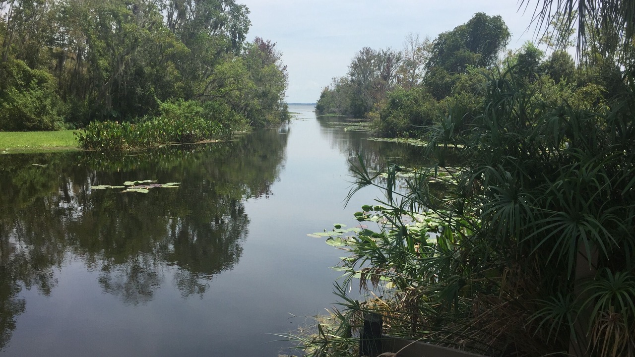 Photo of Outdoor in Lady Lake