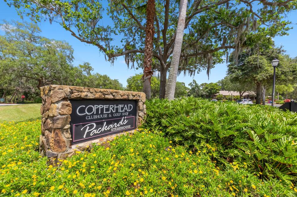 Photo of Outdoor in Palm Harbor