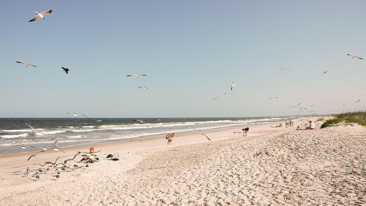 Photo of Others in Jacksonville Beach