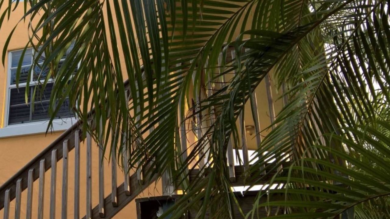 Photo of Outdoor in Grandview Heights