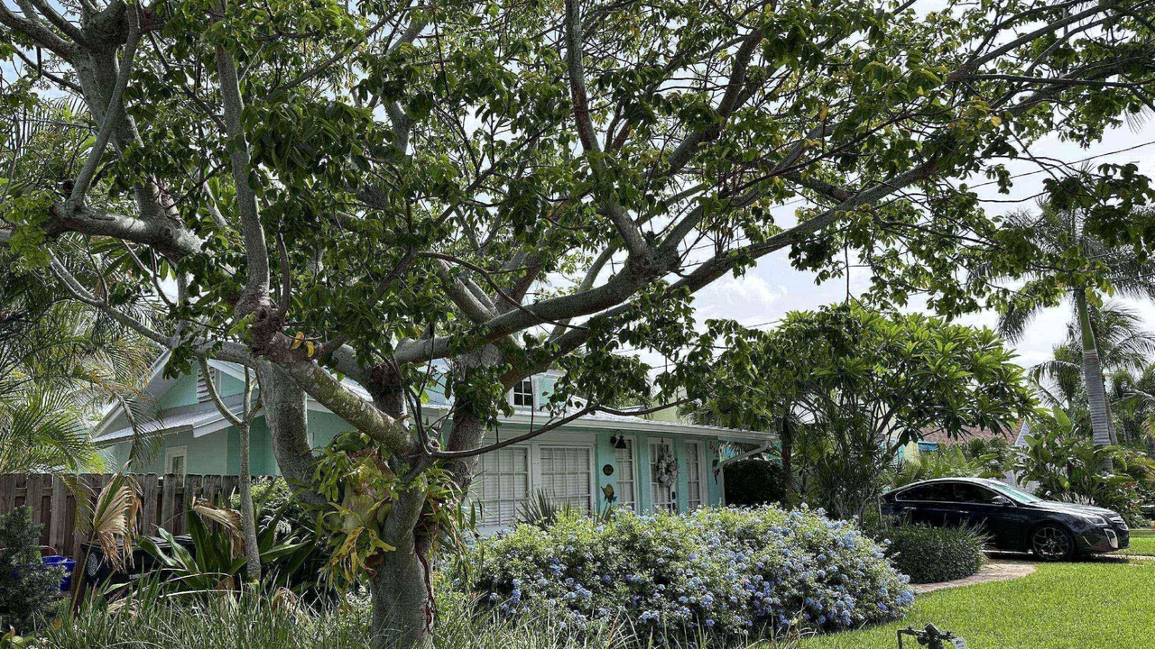 Photo of Outdoor in Grandview Heights