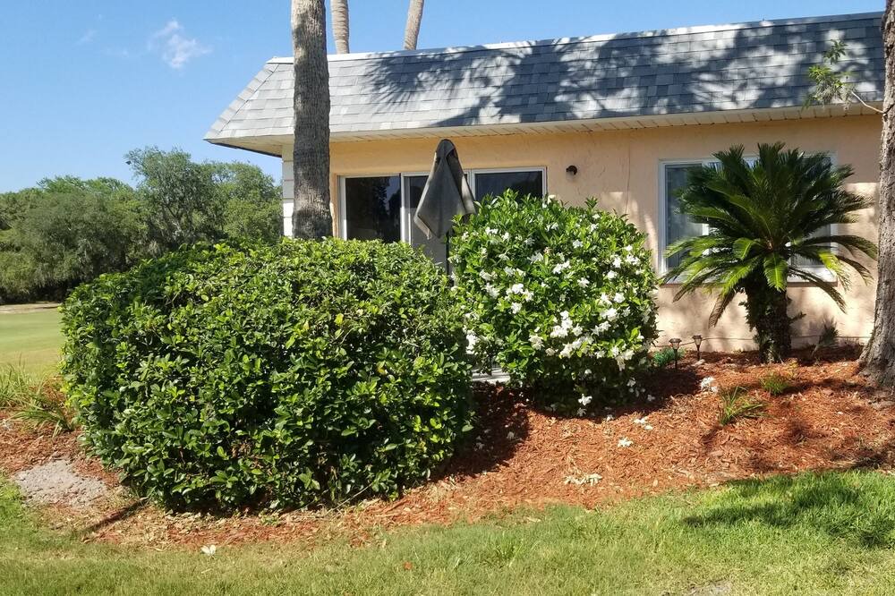 Photo of Outdoor in New Port Richey