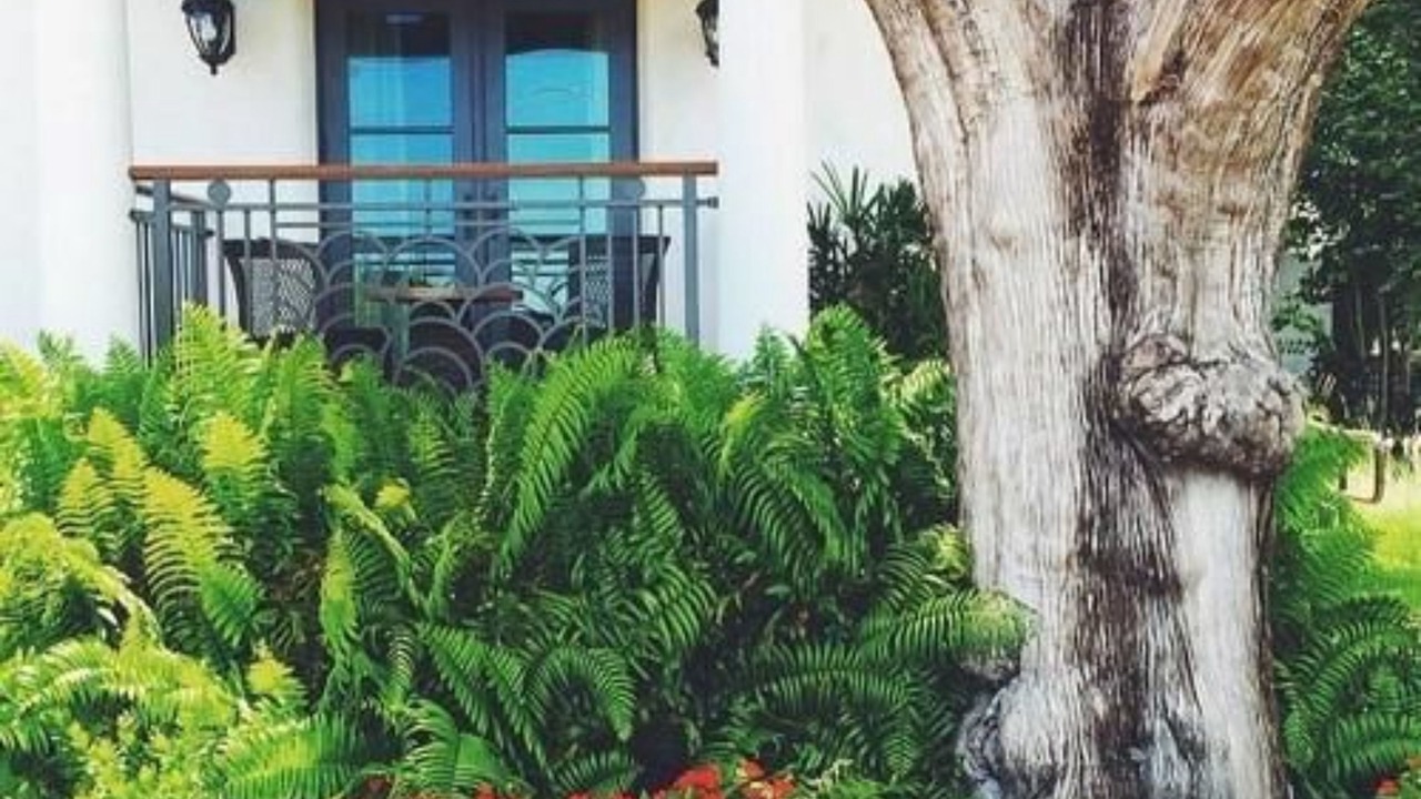 Photo of Outdoor in New Smyrna Beach