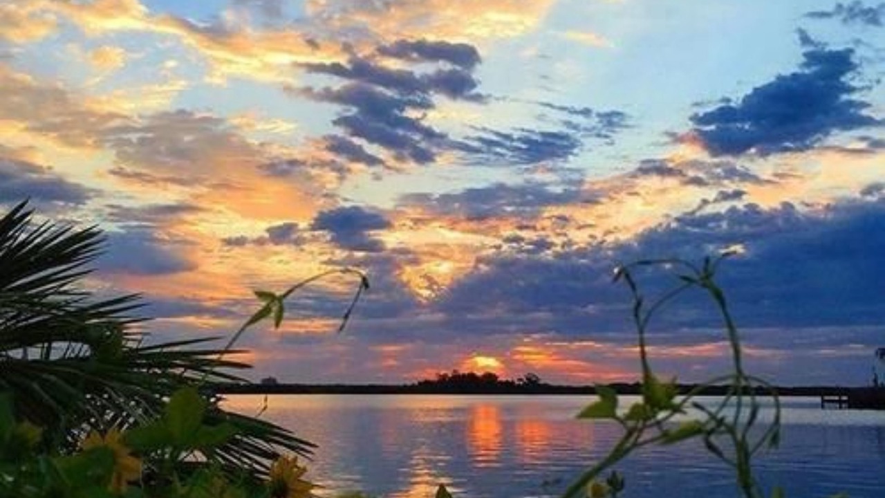 Photo of Others in New Smyrna Beach