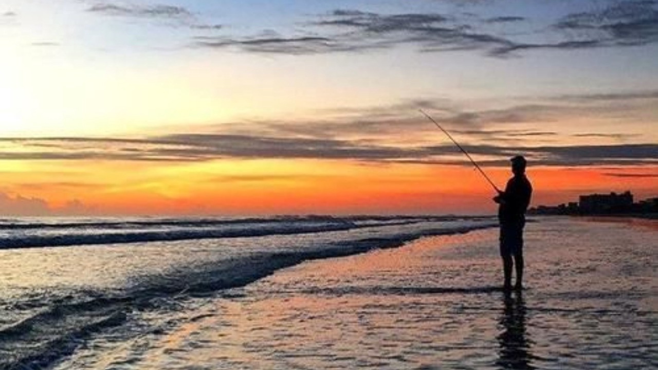 Photo of Others in New Smyrna Beach