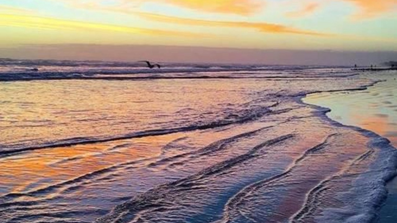 Photo of Others in New Smyrna Beach
