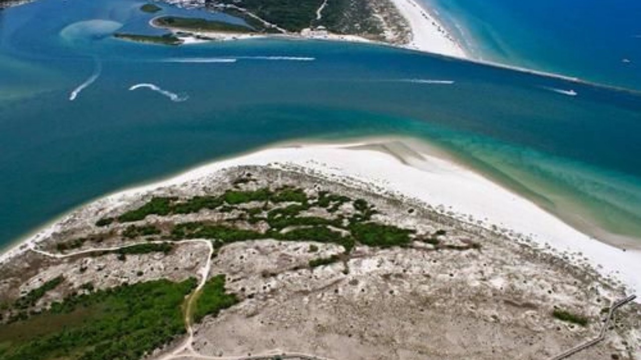 Photo of Outdoor in New Smyrna Beach