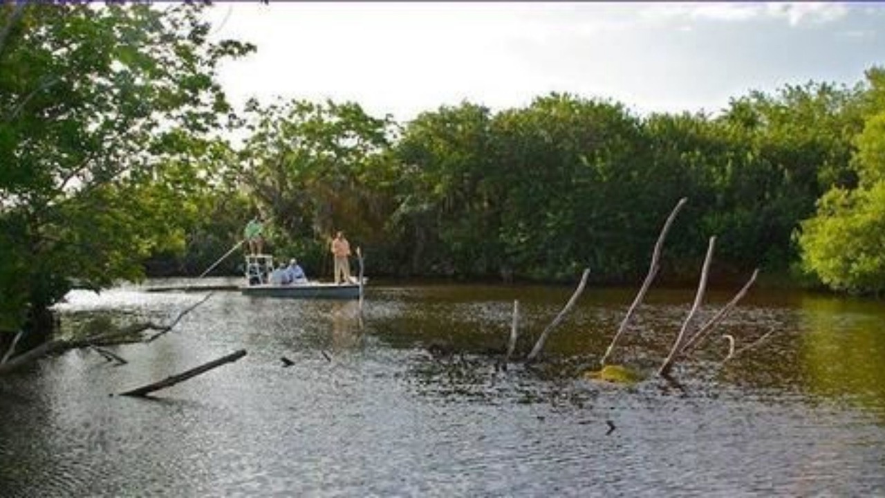 Photo of Others in New Smyrna Beach