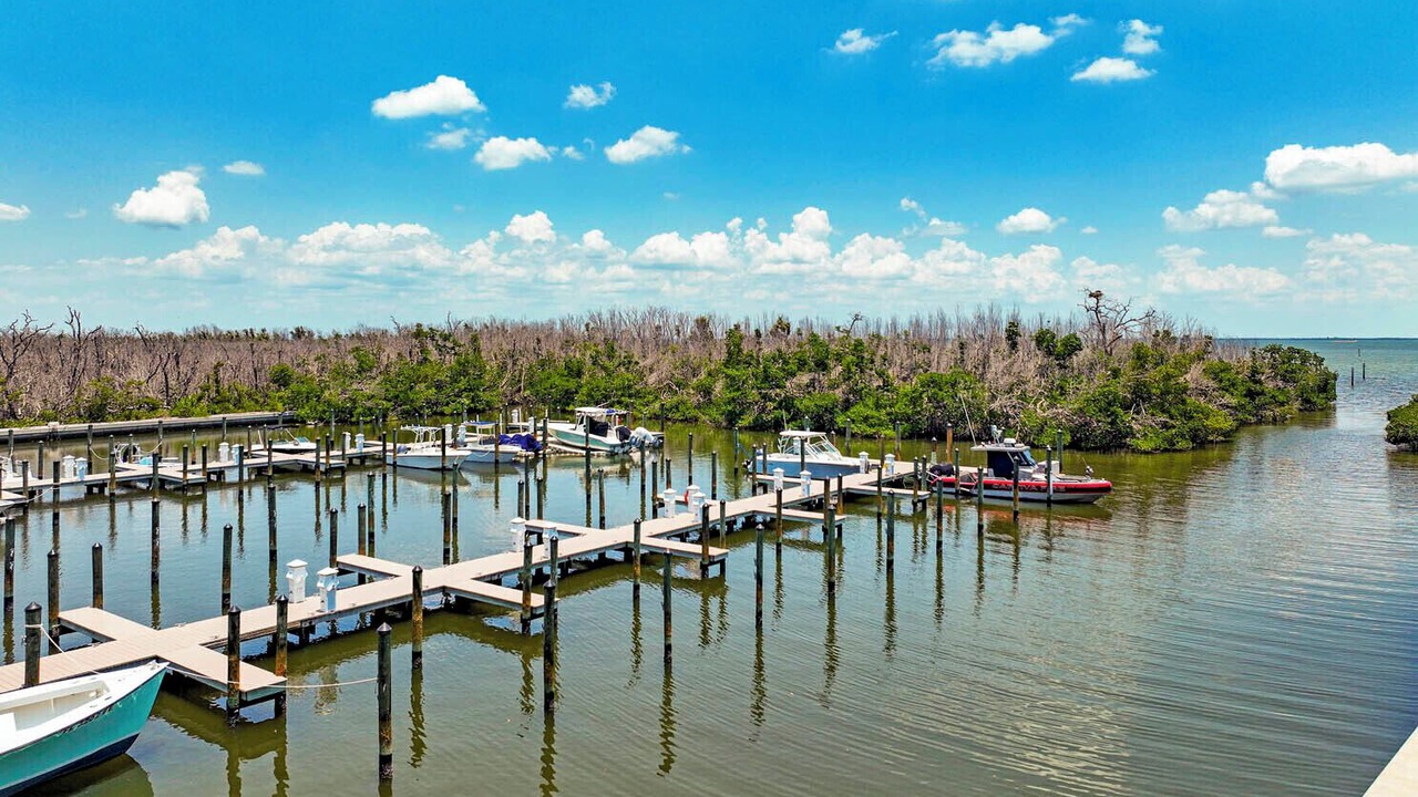 Photo of Others in Captiva