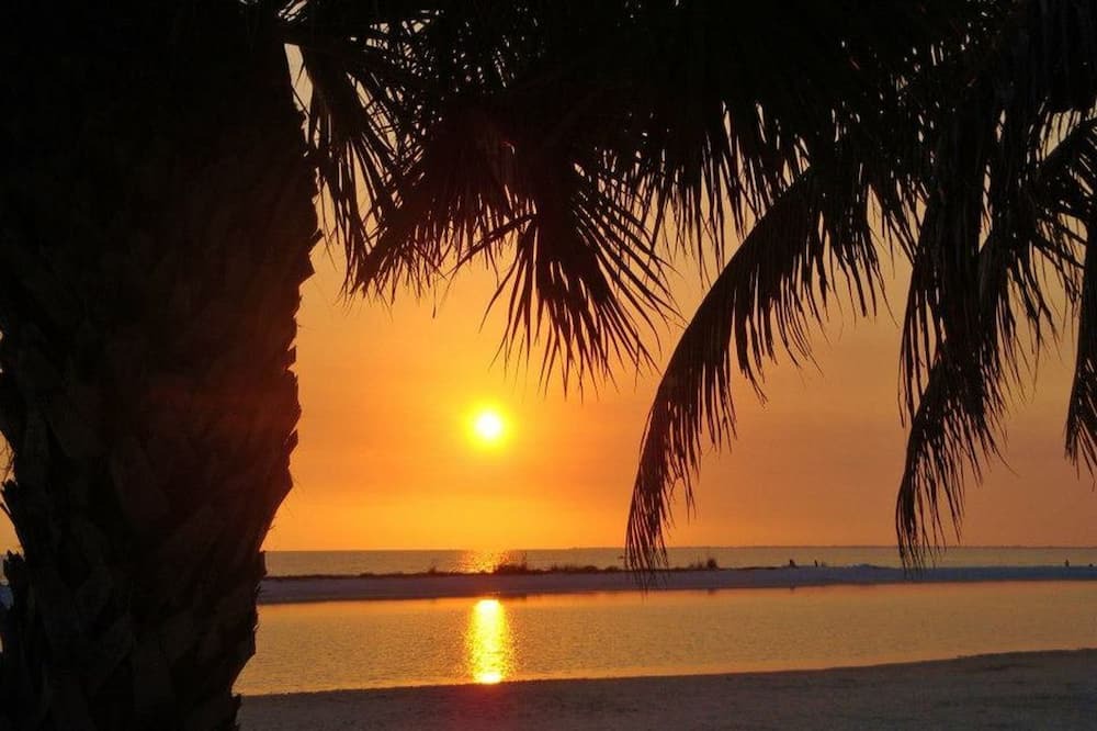 Photo of Others in Majestic Palms