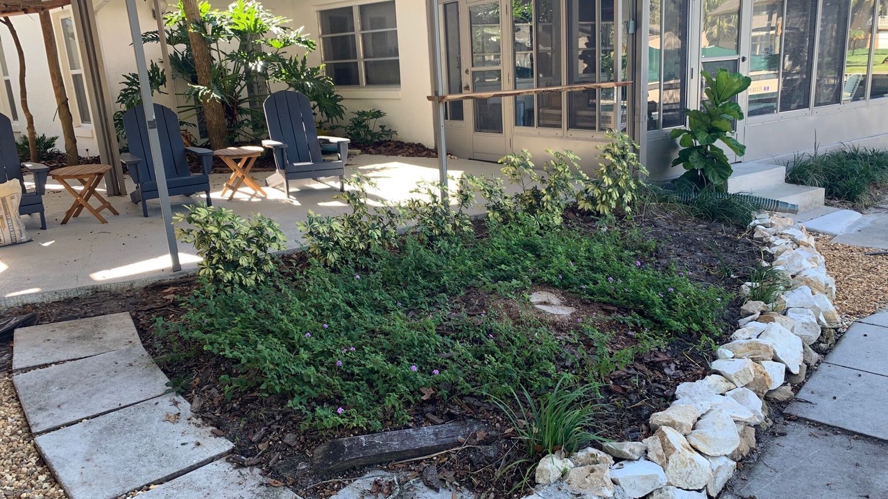 Photo of Outdoor in Springs at Kings Bay