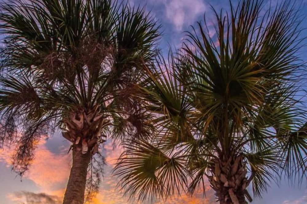 Photo of Outdoor in Crystal River