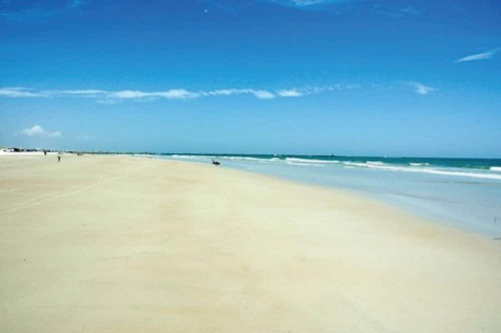 Photo of Outdoor in New Smyrna Beach
