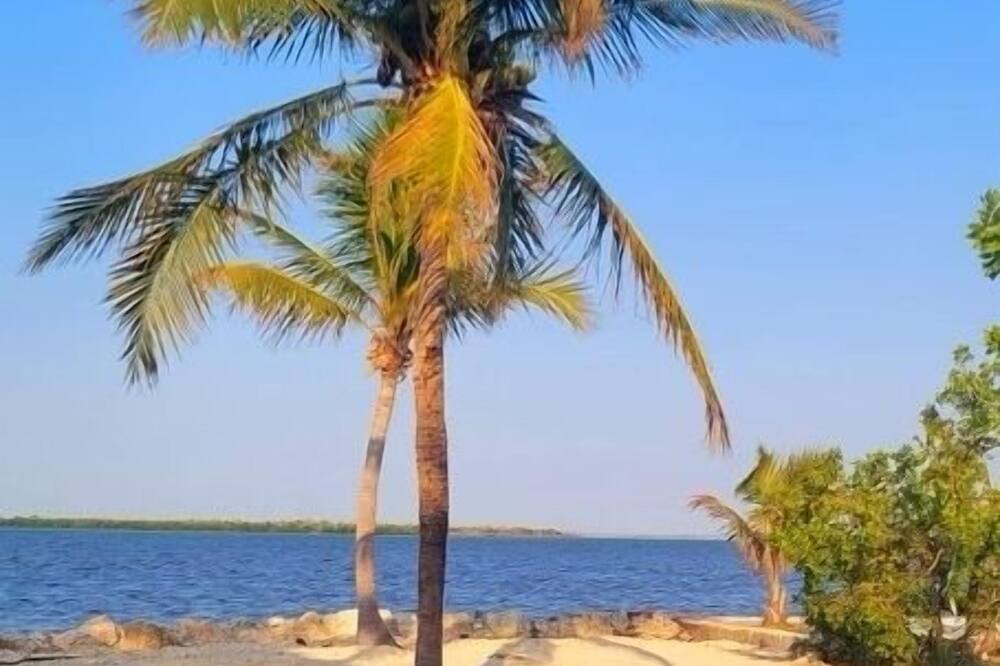 Photo of Others in Big Pine Key