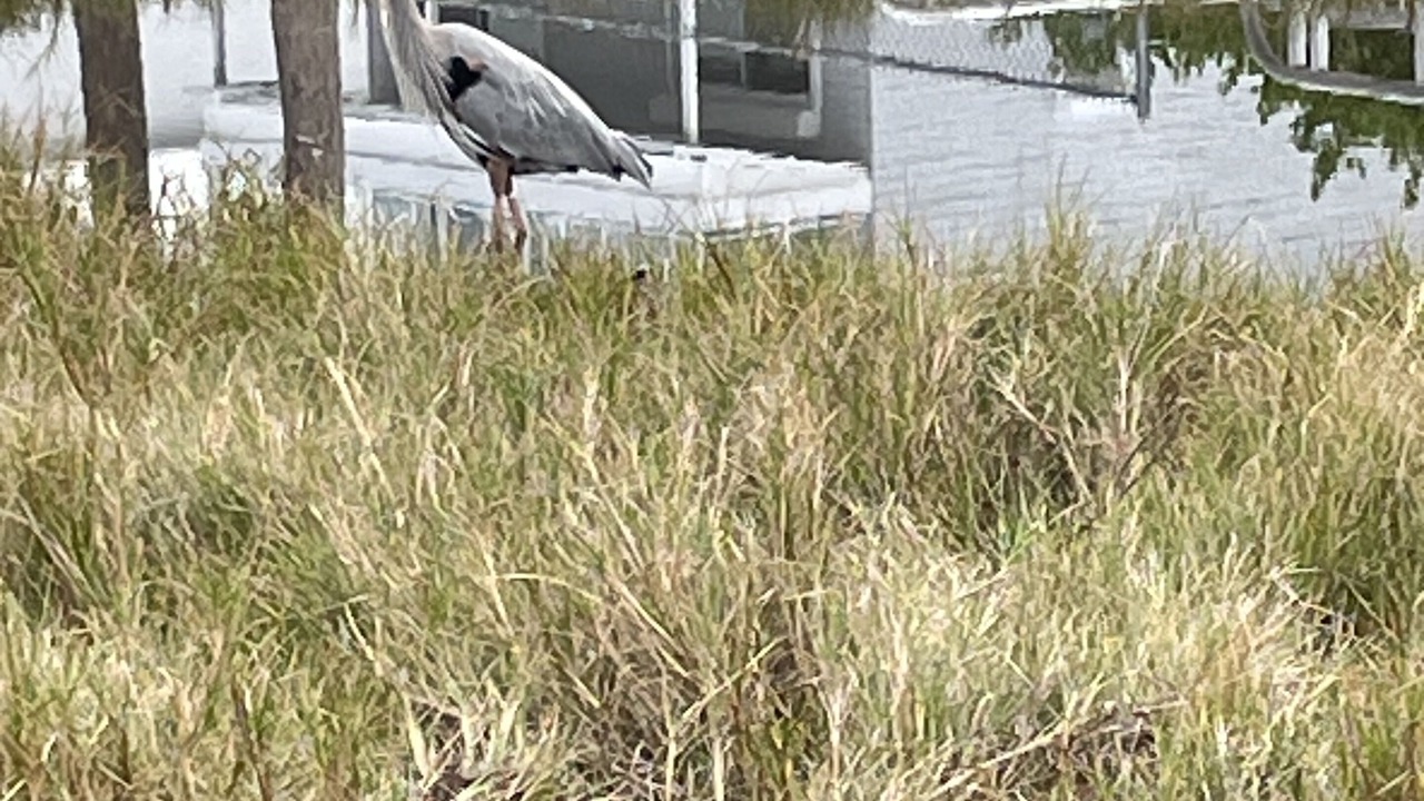 Photo of Outdoor in Cape Cay