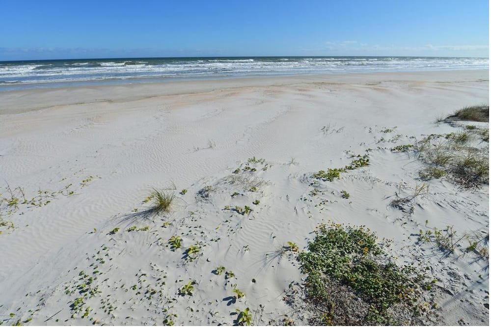 Photo of Outdoor in Ponce Inlet