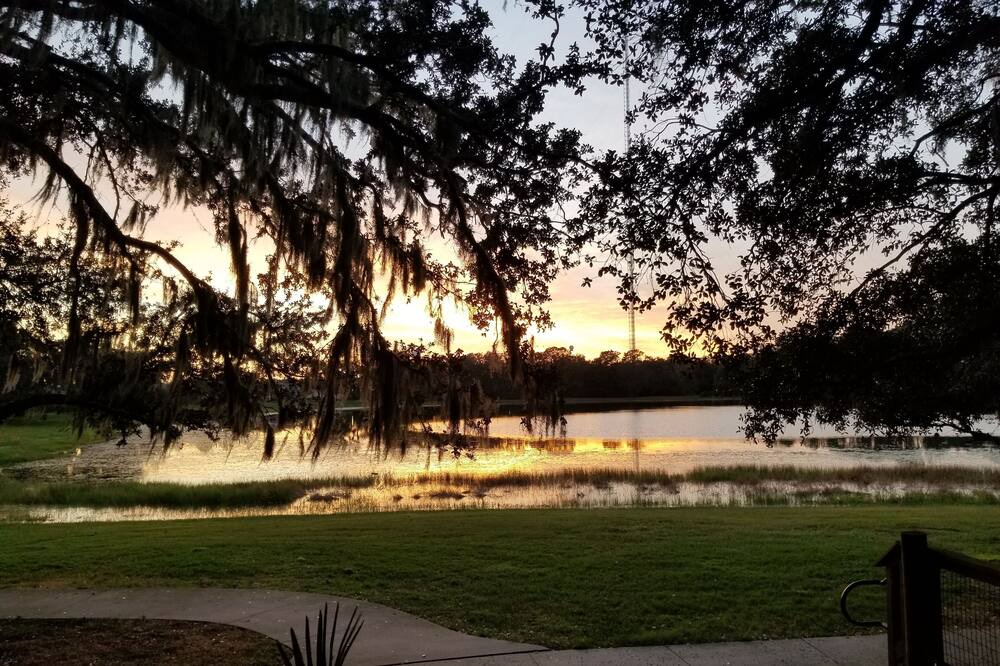 Photo of Outdoor in Fish Hawk