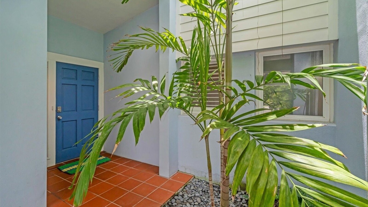 Photo of Outdoor in Anna Maria