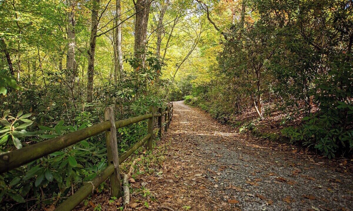 Photo of Outdoor in Canton