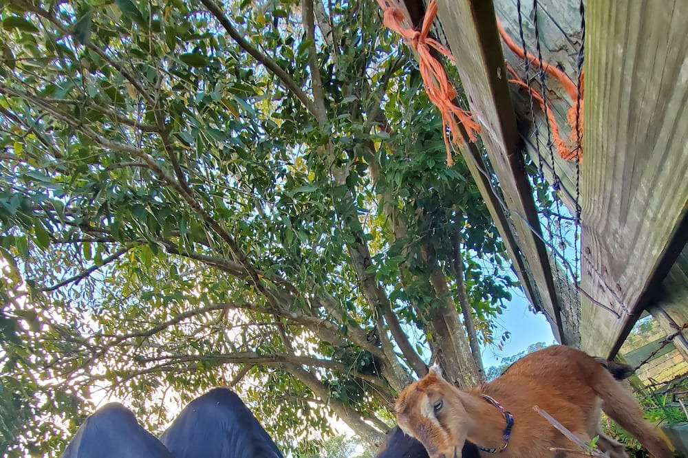 Photo of Outdoor in Buckingham