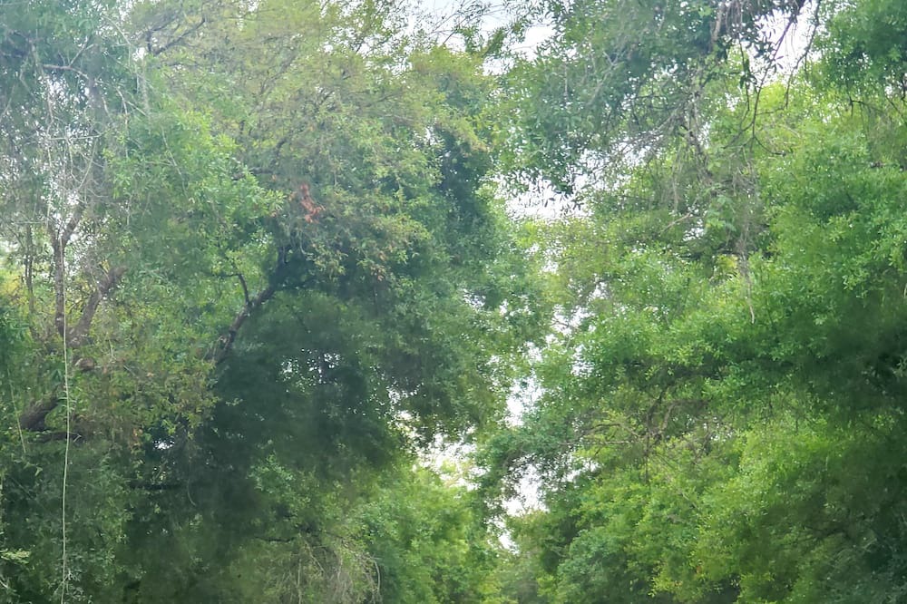Photo of Outdoor in Buckingham