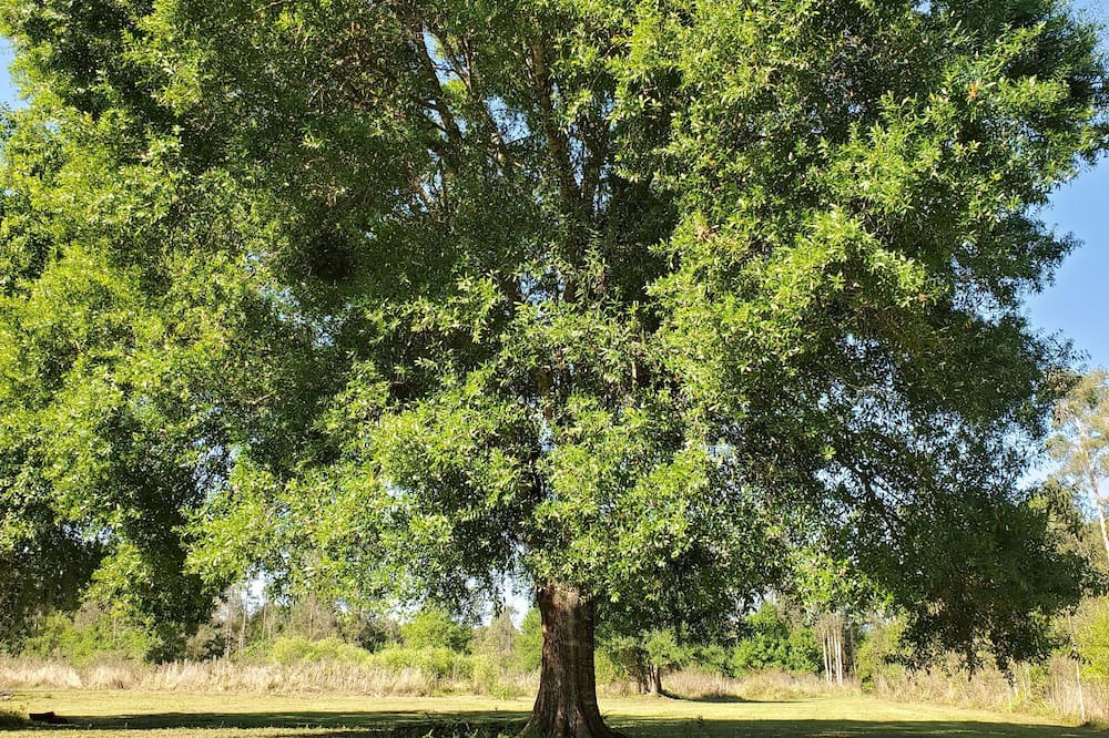 Photo of Outdoor in Buckingham
