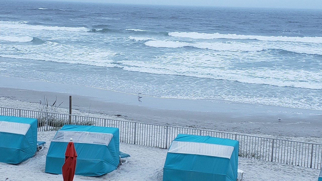 Photo of Outdoor in New Smyrna Beach