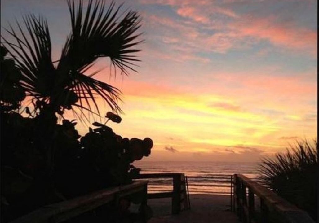 Photo of Outdoor in New Smyrna Beach