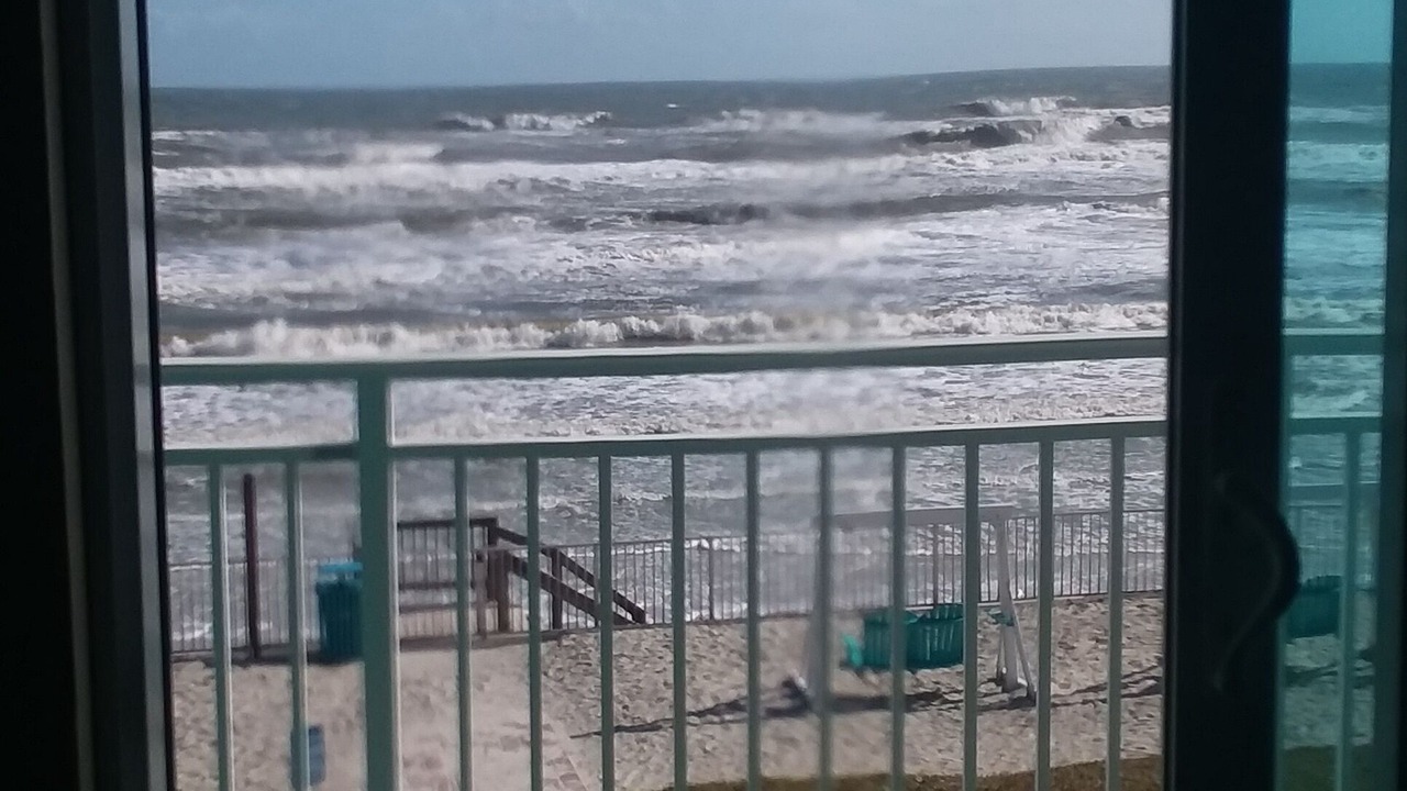 Photo of Outdoor in New Smyrna Beach