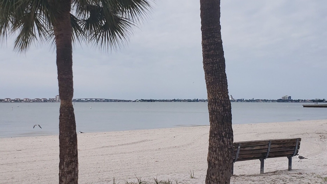 Photo of Others in Gulfport