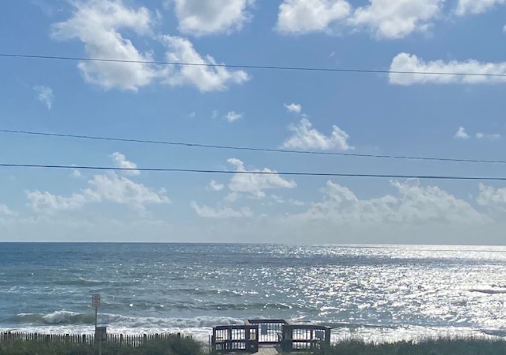 Photo of Others in Ormond-by-the-Sea