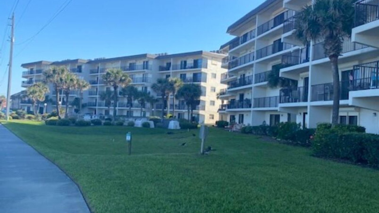Photo of Outdoor in Ormond-by-the-Sea