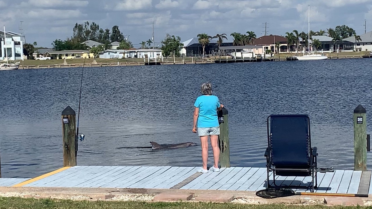 Photo of Others in Edgewater