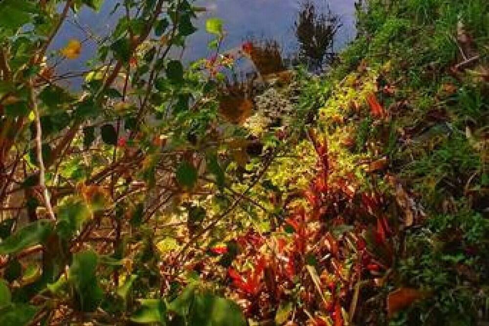 Photo of Outdoor in Golden Gate