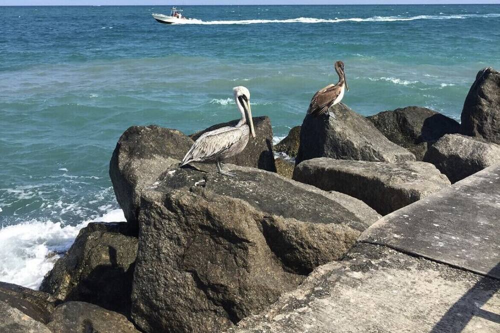 Photo of Others in Bella Vista