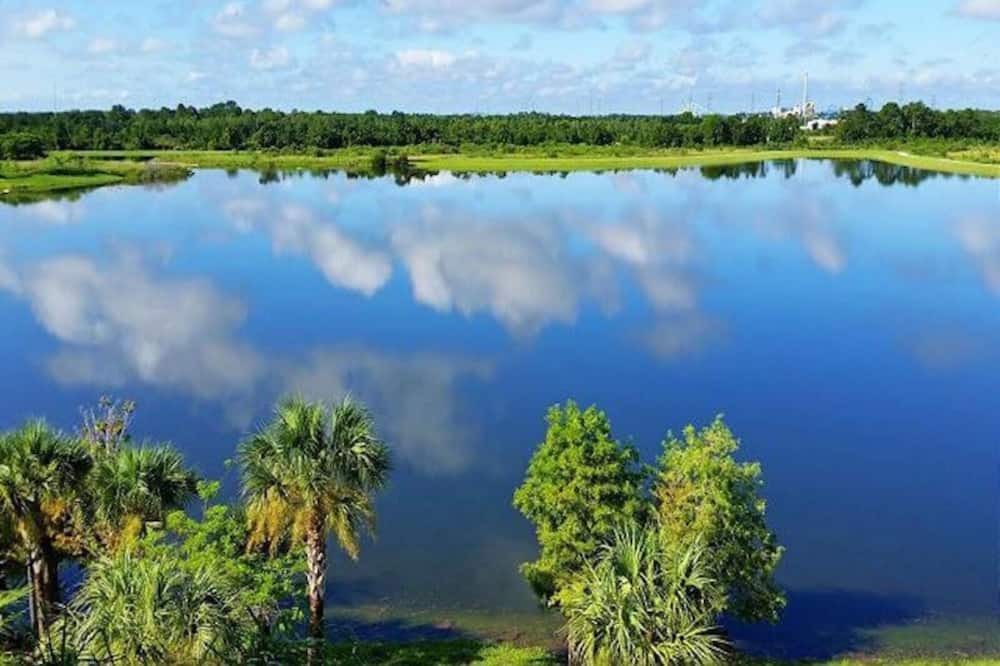 Photo of Others in Florida Central Atlantic Coast