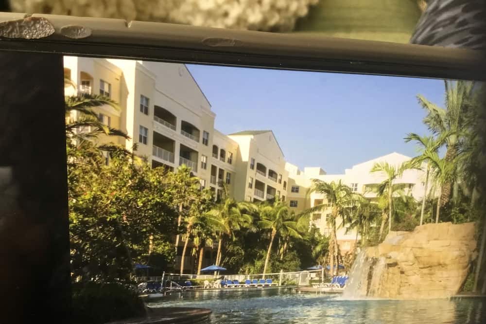 Photo of Outdoor in Weston