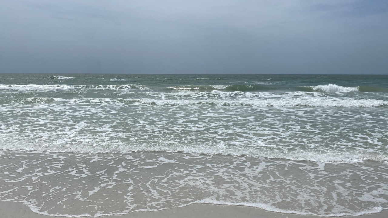 Photo of Others in Indian Shores