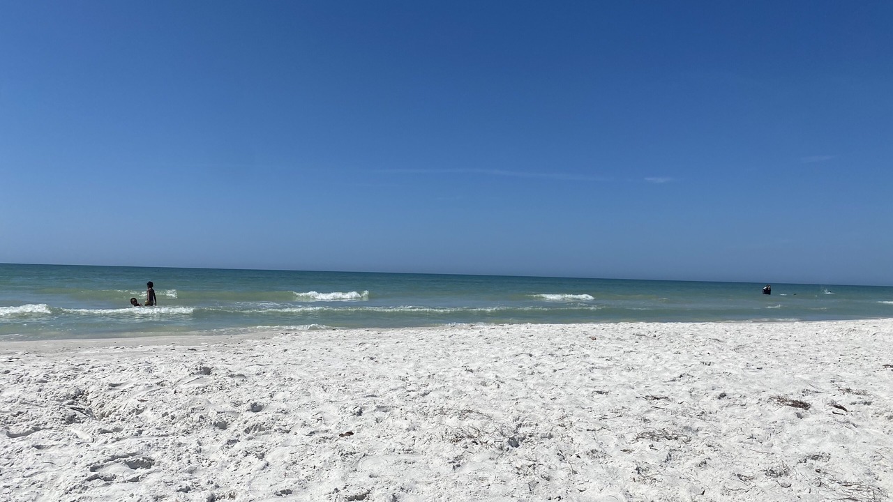 Photo of Others in Indian Shores