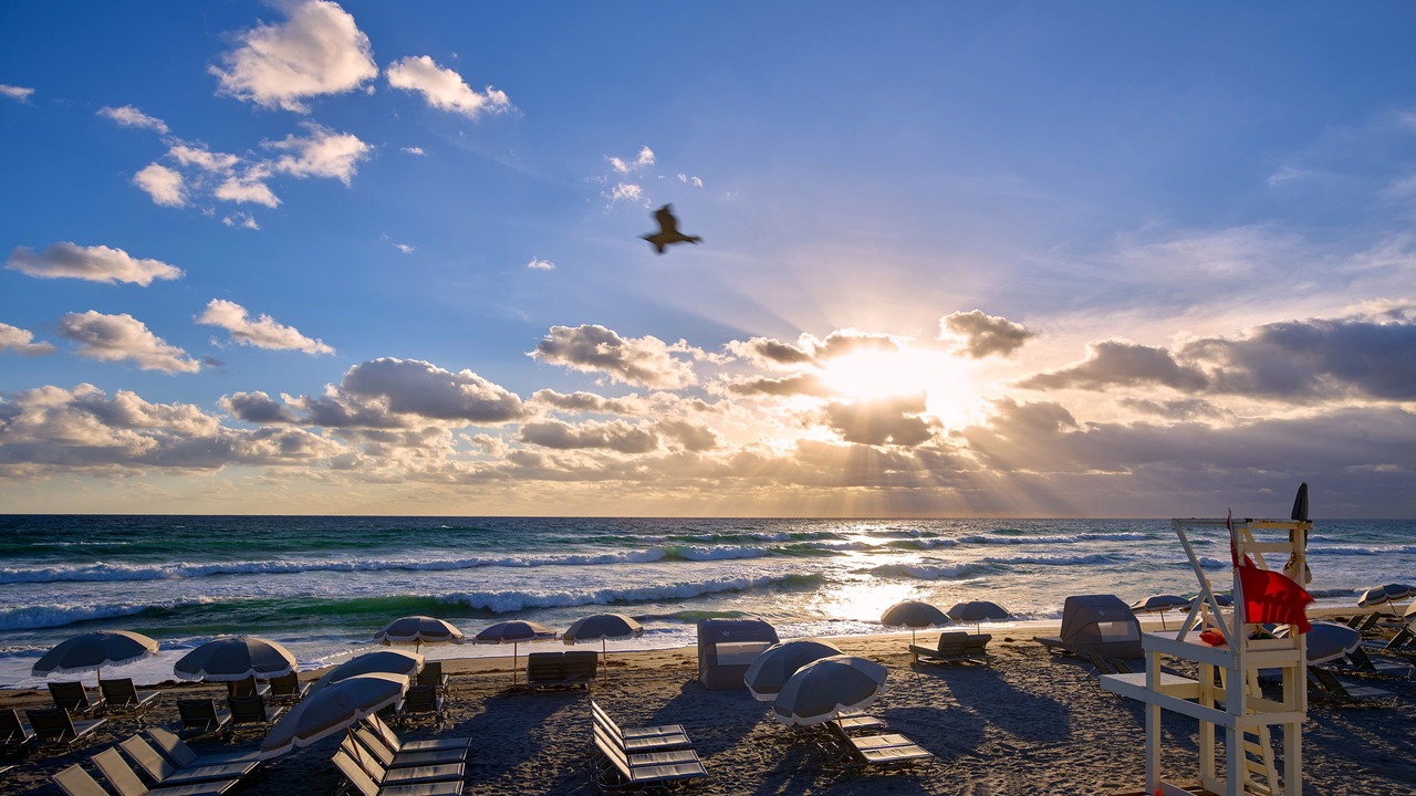 Photo of Others in Boca Raton