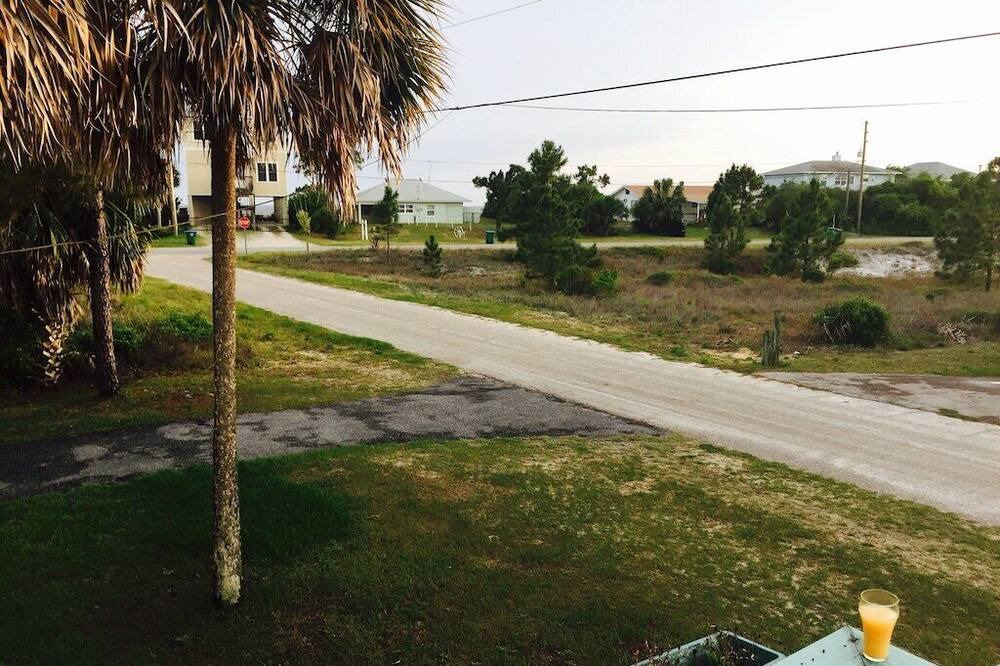 Photo of Outdoor in Alligator Point