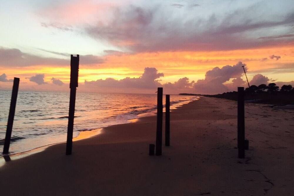 Photo of Others in Alligator Point