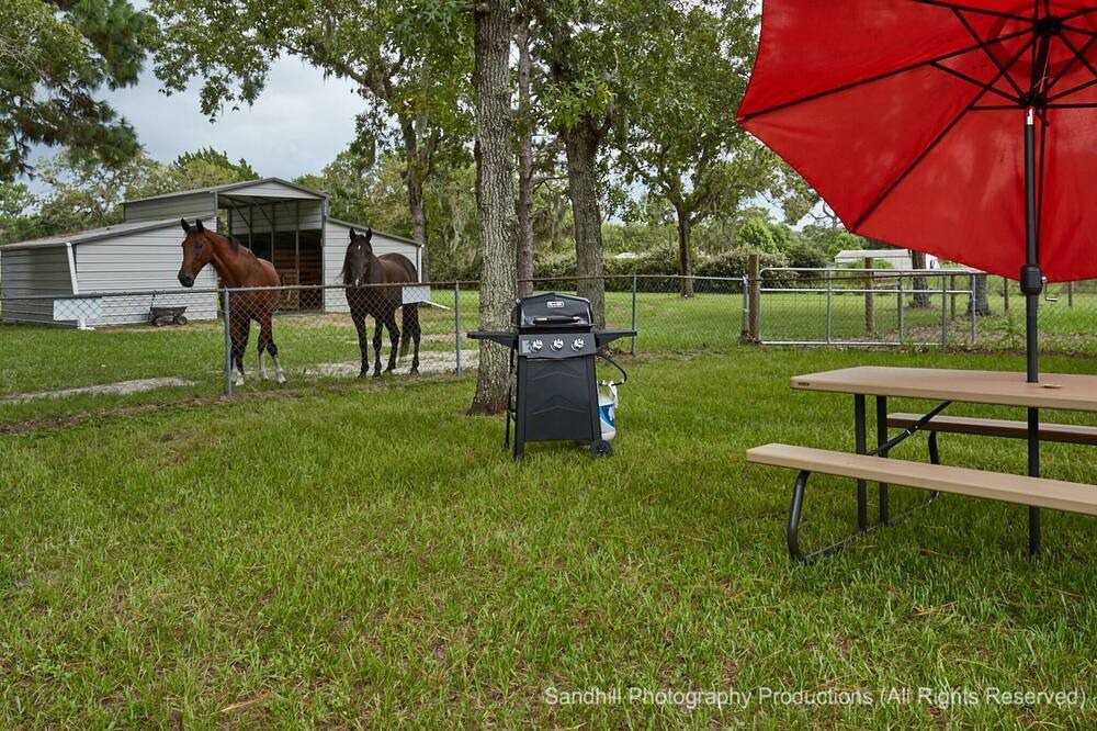 Photo of Outdoor in Homosassa