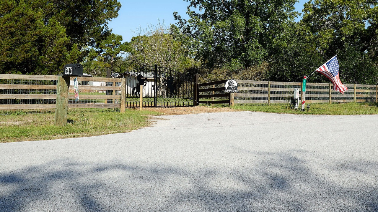 Photo of Outdoor in Homosassa