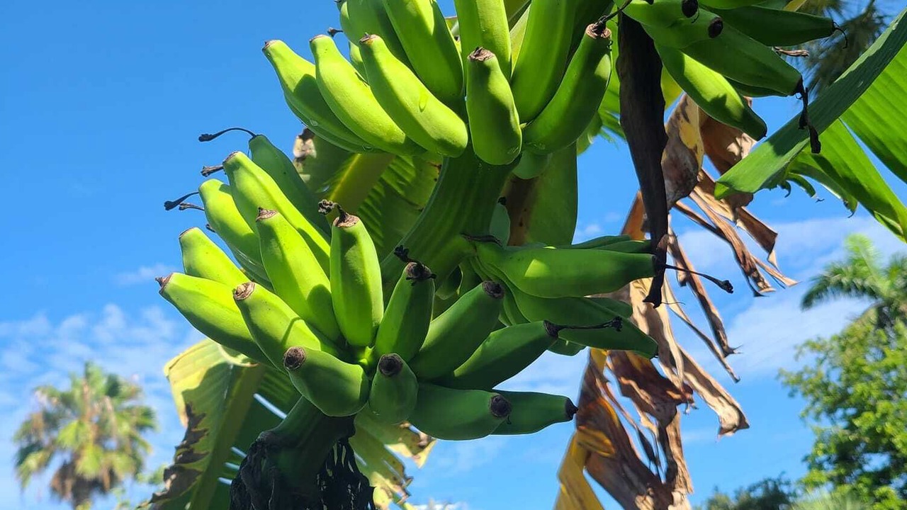 Photo of Outdoor in Cortez