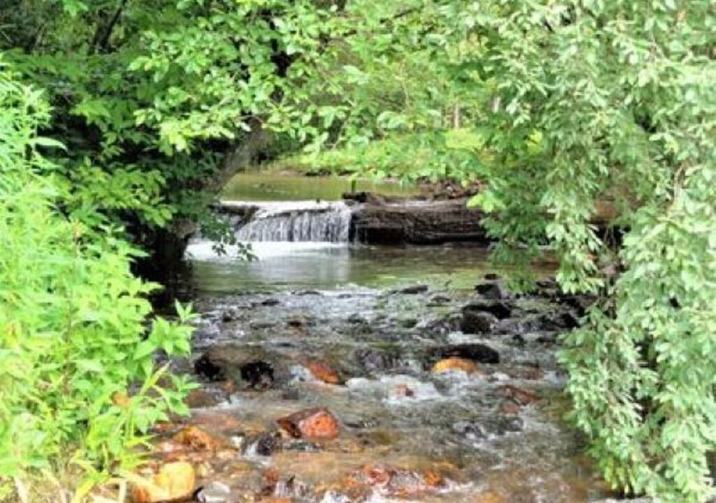 Photo of Outdoor in Ellijay