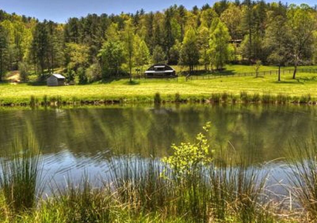 Photo of Others in Ellijay